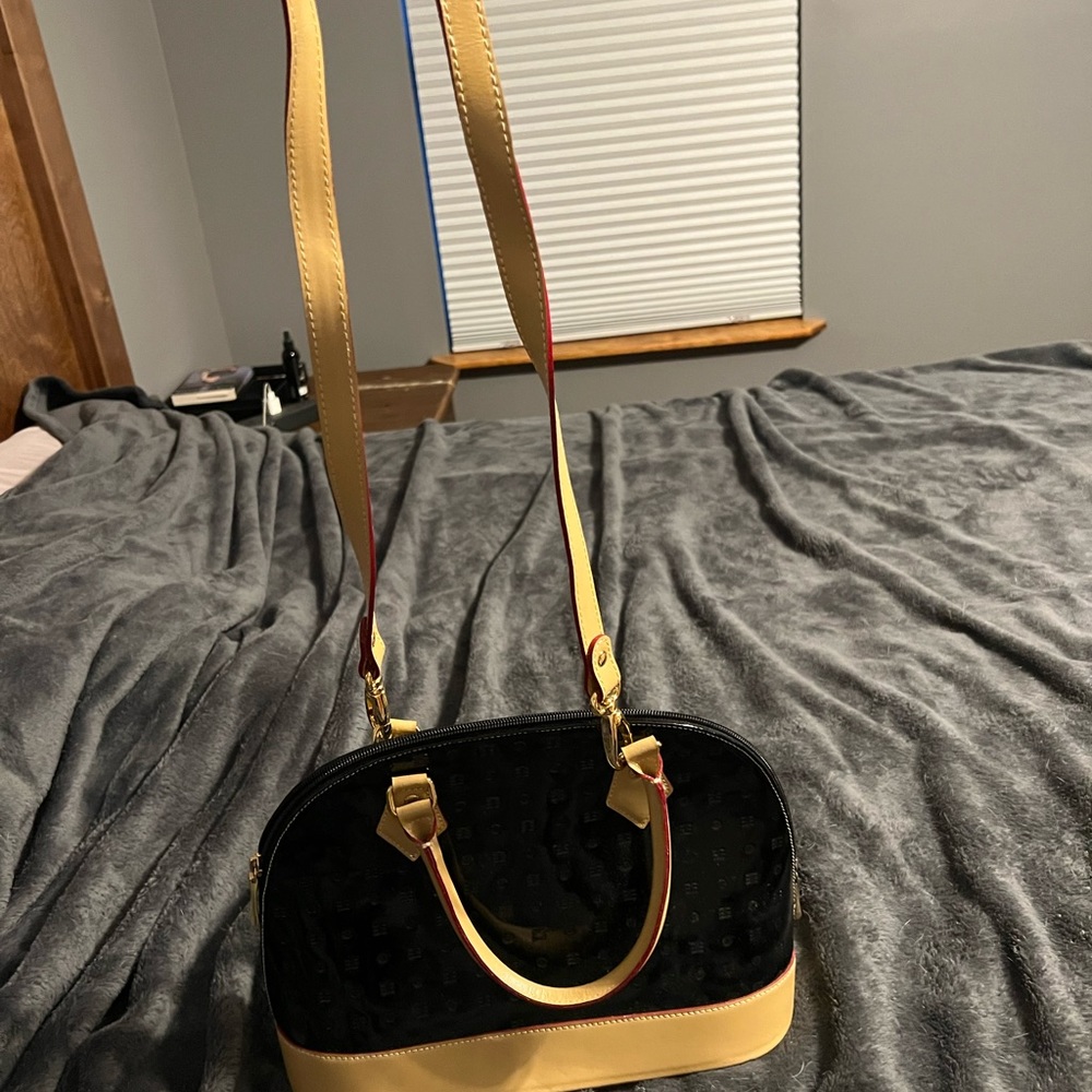 Arcadia black purse